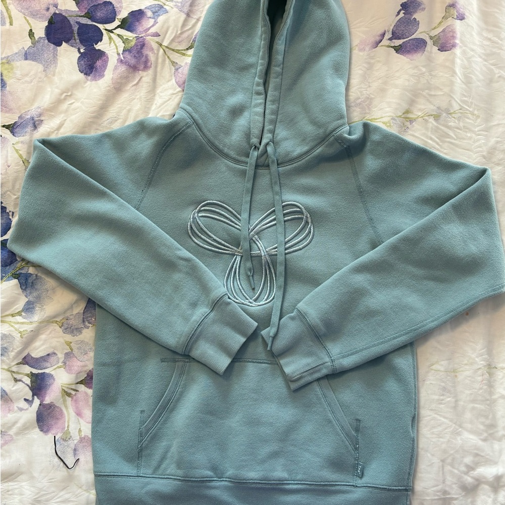 TNA Aritzia Blue Hoodie